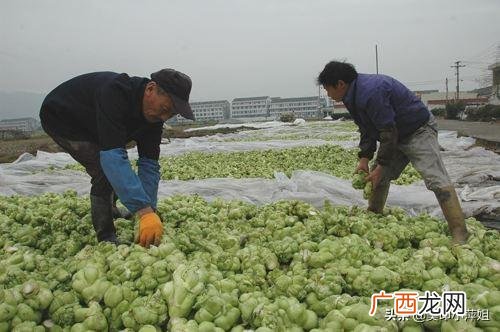 不起眼的暴利小生意 白手起家做什么生意好