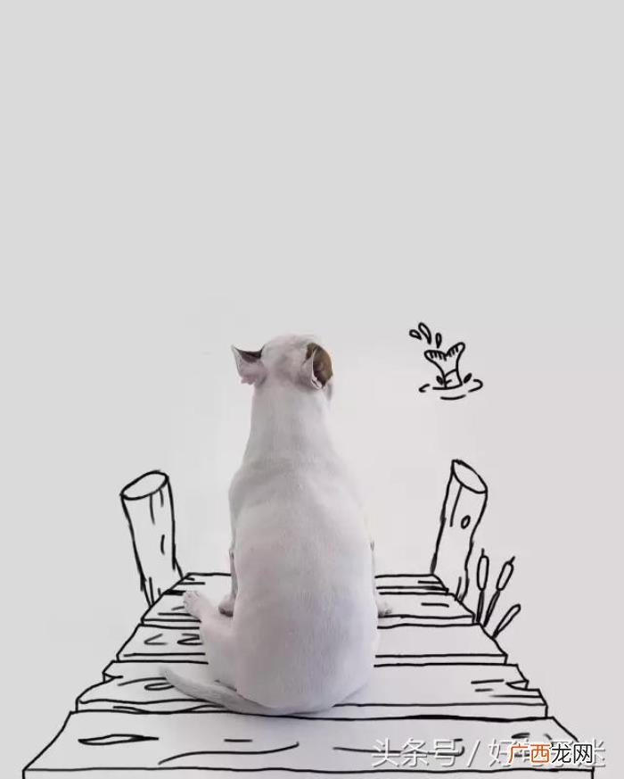 最逗比最搞笑的签名句子 幽默搞笑个性签名