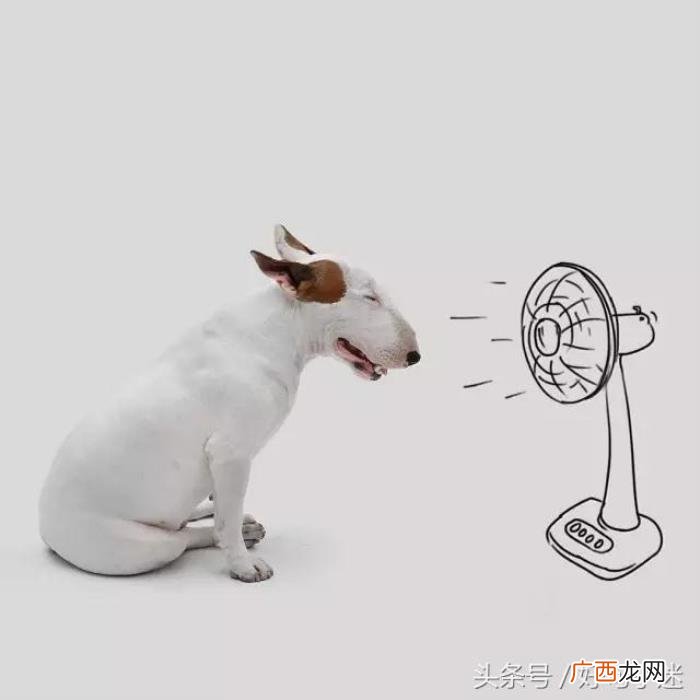最逗比最搞笑的签名句子 幽默搞笑个性签名