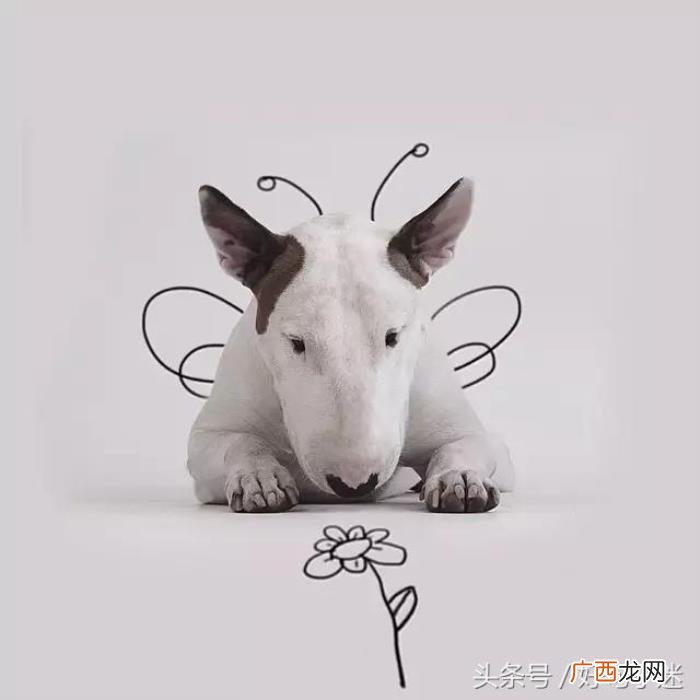 最逗比最搞笑的签名句子 幽默搞笑个性签名