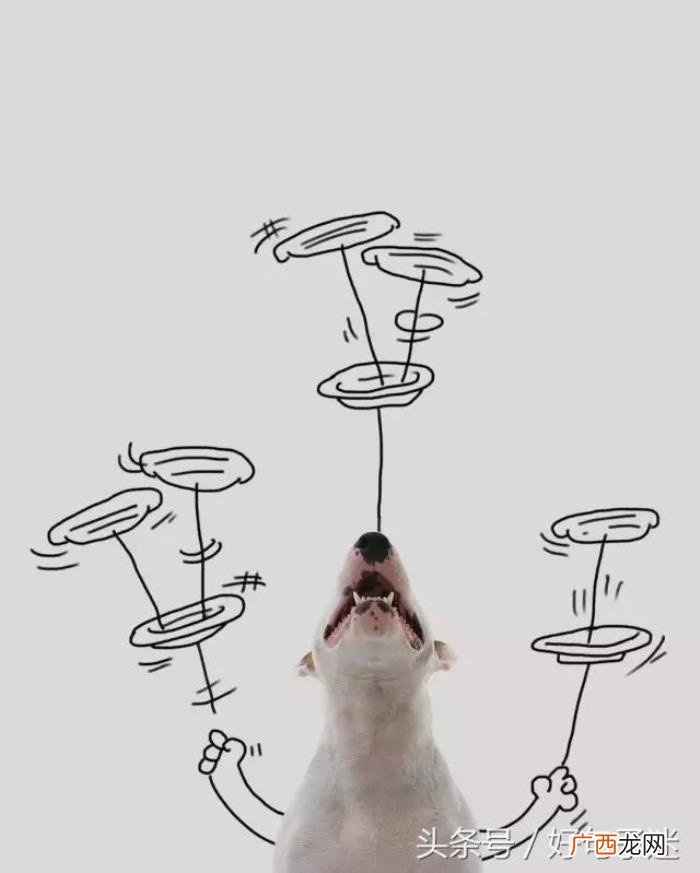 最逗比最搞笑的签名句子 幽默搞笑个性签名