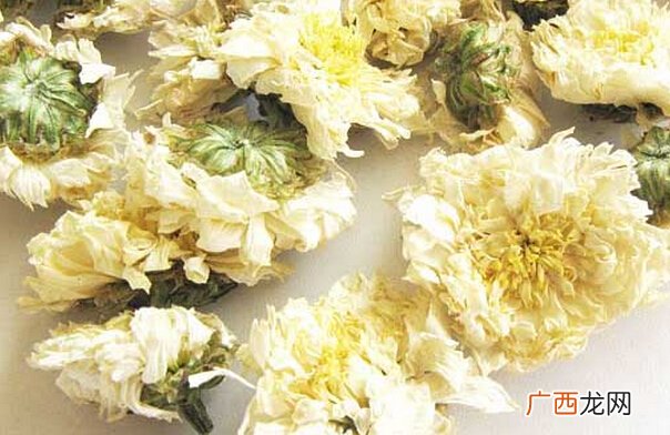 黄山贡菊的功效与作用