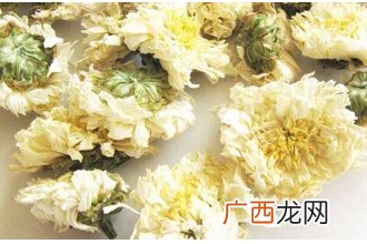 黄山贡菊的功效与作用
