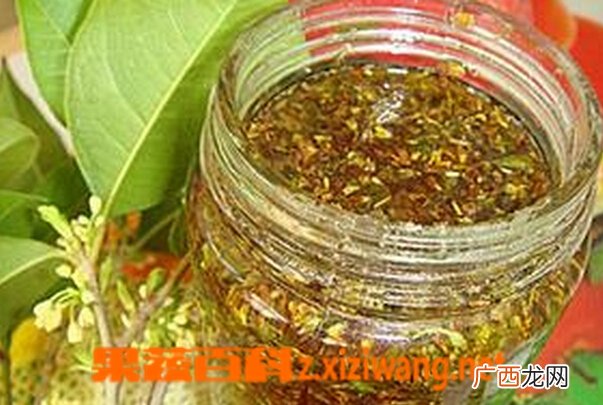 桂花蜜如何做 桂花蜜的做法大全