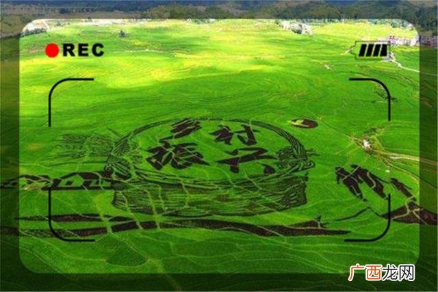 十大暴利养殖,大棚养殖项目有哪些