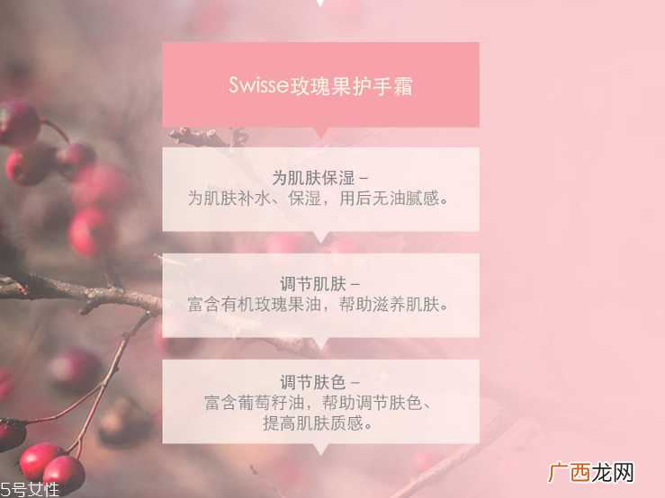 swisse玫瑰果护手霜好用吗 swisse玫瑰果护手霜价格
