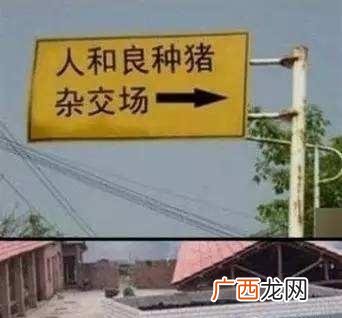 想要一个创业微信名 创业的微信昵称