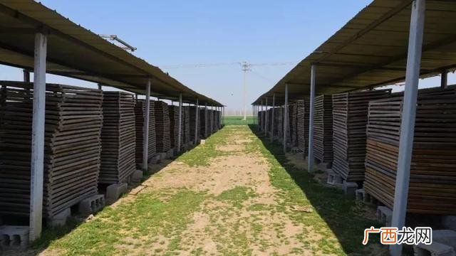 加盟制香厂,香厂利润分析