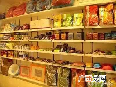 新手开宠物店要学什么技术（开宠物店一定要学