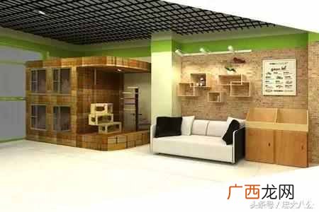 新手开宠物店要学什么技术（开宠物店一定要学
