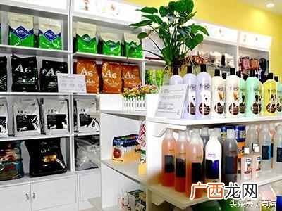 开宠物店需要什么手续和证件（开宠物店必备的