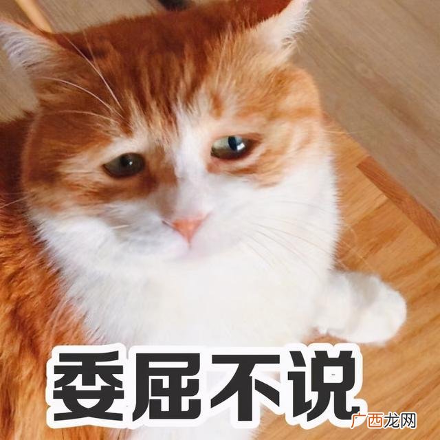 在家做手工活挣钱无押金,适合在家里做的兼职工作有哪些-
