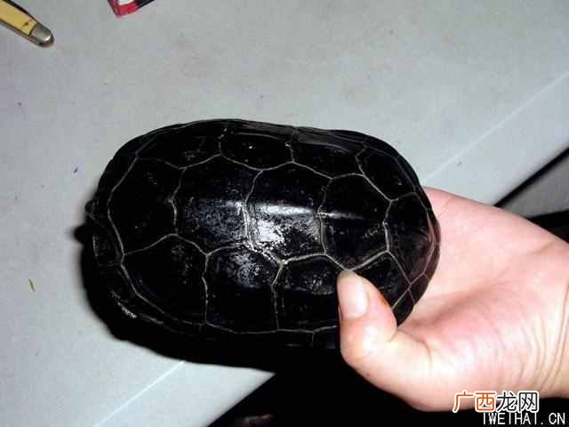 适合白领下班做的职业（上班族兼职赚钱点子1
