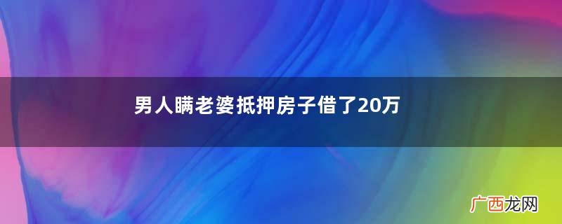 男人瞒老婆抵押房子借了20万，四年后妻子：还了20万还差40万