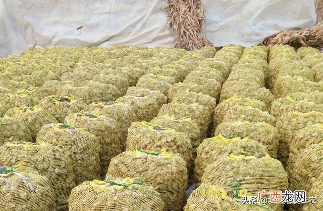 家庭开什么小作坊加工好,家庭作坊一般可以加工什么