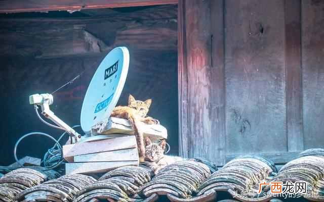 摆地摊卖袜子什么地方好卖(4种最适合人穿的袜