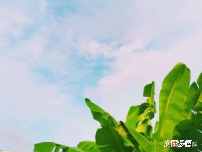 微信置顶优美气质文字 优美文字