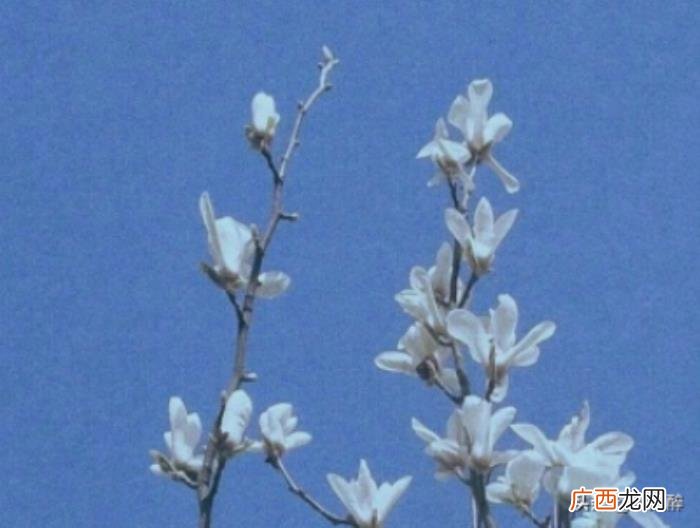 微信置顶优美气质文字 优美文字