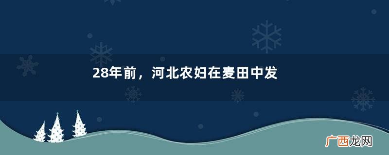 28年前，河北农妇在麦田中发现一只“白猪”，牵出了一桩连环命案