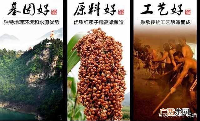 饮用酱香型白酒对身体有什么好处（喝酱香酒的