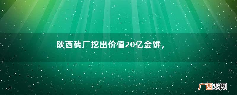 陕西砖厂挖出价值20亿金饼，被村民一抢而光，最终结果如何？