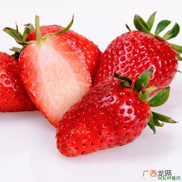 南果梨在栽培时如何科学施肥?原来如此