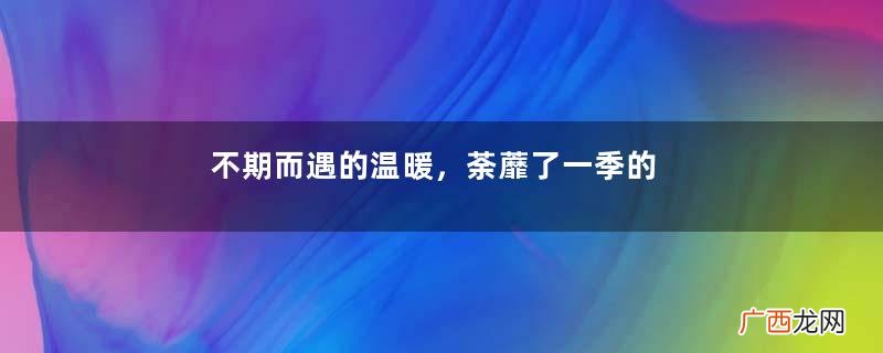 不期而遇的温暖，荼蘼了一季的懵懂