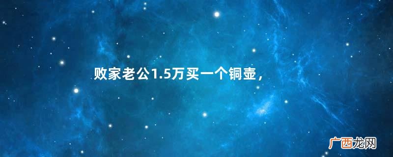 败家老公1.5万买一个铜壶，妻子怒来鉴宝，专家：假东西，很值钱