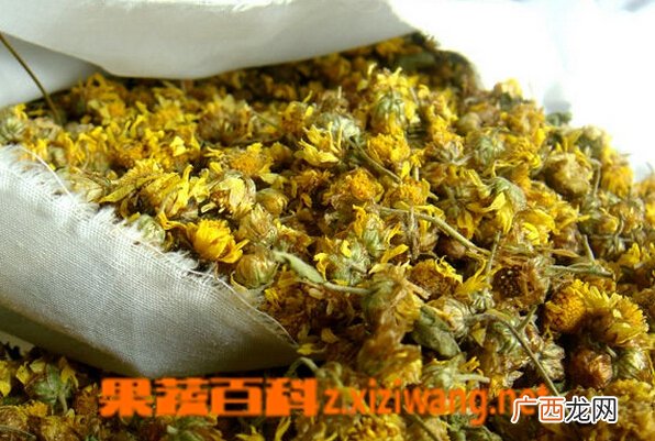 野菊花枕头的功效与作用 野菊花枕头怎么做
