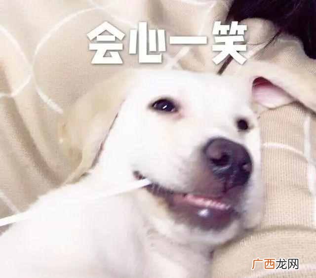 2019年河南什么时候能开宜家（洛阳的朋友拿好这