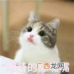 2019年河南什么时候能开宜家（洛阳的朋友拿好这