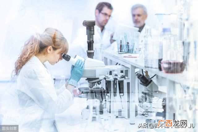 中国环保行业前景如何（2019年环保行业为何如此