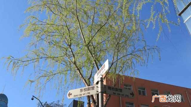 太原柳巷有哪些品牌专卖店（柳巷怎么做到300年