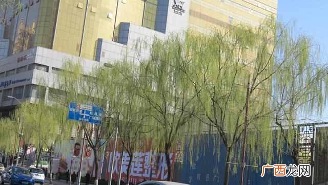 太原柳巷有哪些品牌专卖店（柳巷怎么做到300年