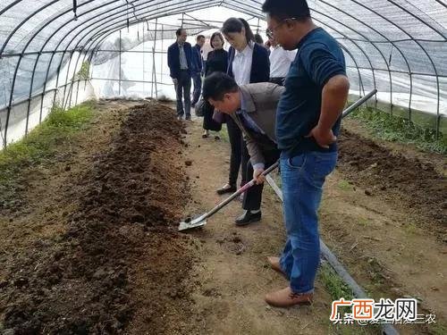 农村开个小店要多少钱 开一个小店大约多少钱