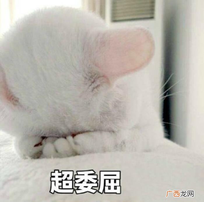 委屈的表情包合集｜ 委屈的图片