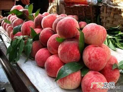 什么东西批发便宜质量又好（全国10大最便宜商品