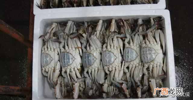 什么东西批发便宜质量又好（全国10大最便宜商品