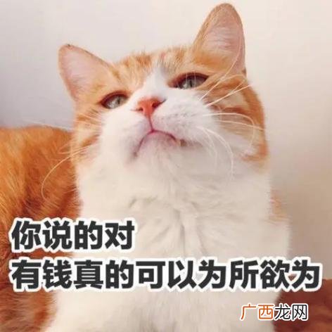 正规自媒体培训学校,做自媒体新手怎么入门