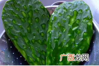 仙人掌的药用功效 仙人掌能治哪些疾病