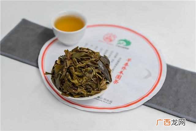 金叶茶是什么样的价位（金叶茶的药用与食用价