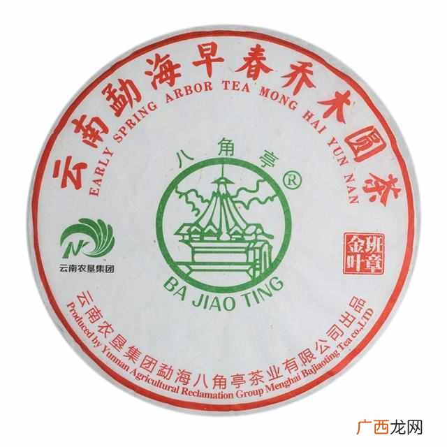 金叶茶是什么样的价位（金叶茶的药用与食用价