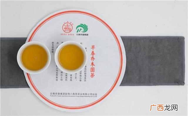 金叶茶是什么样的价位（金叶茶的药用与食用价