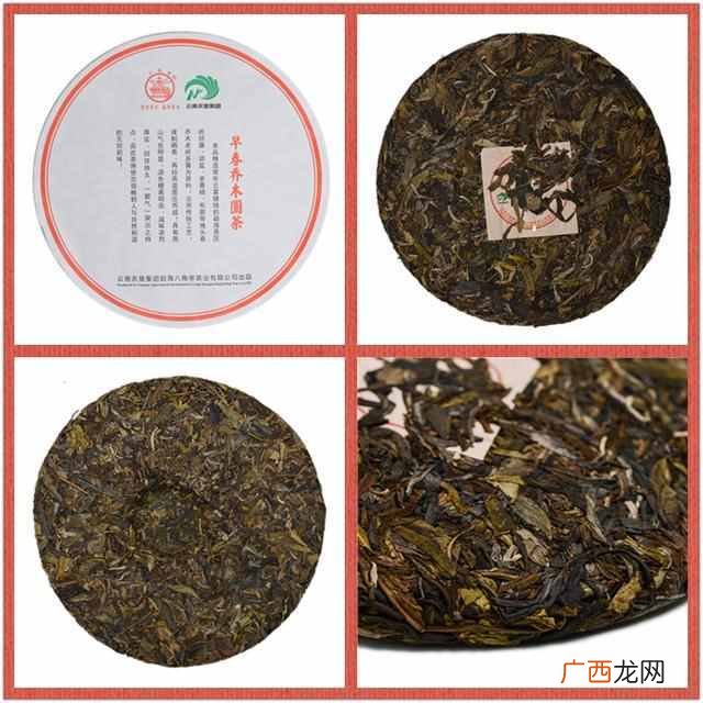 金叶茶是什么样的价位（金叶茶的药用与食用价