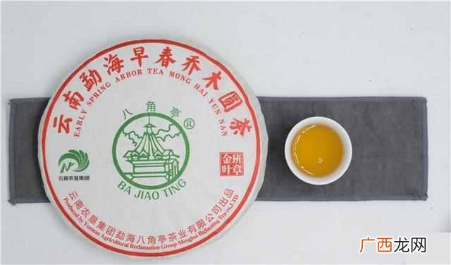 金叶茶是什么样的价位（金叶茶的药用与食用价