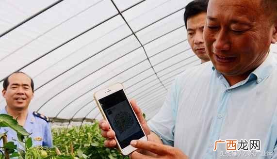 农村家庭种什么赚钱快(十大暴利种植行业有哪