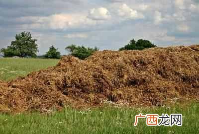 加工点什么小食品挣钱（加工这个半年就让你回