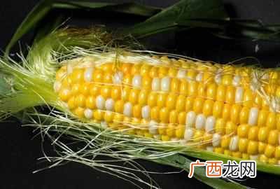 加工点什么小食品挣钱（加工这个半年就让你回