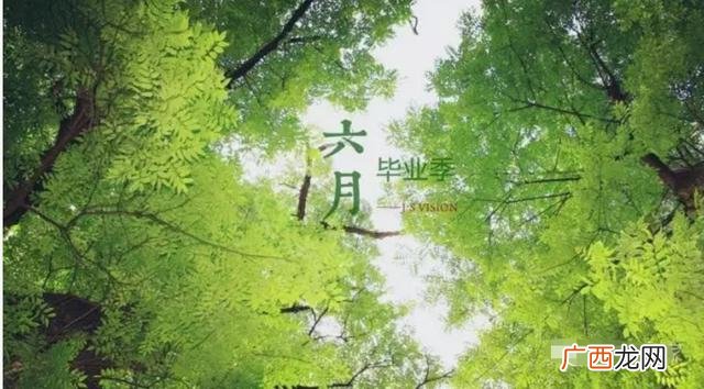 小学即将毕业我想对老师说,小学毕业现在想自学