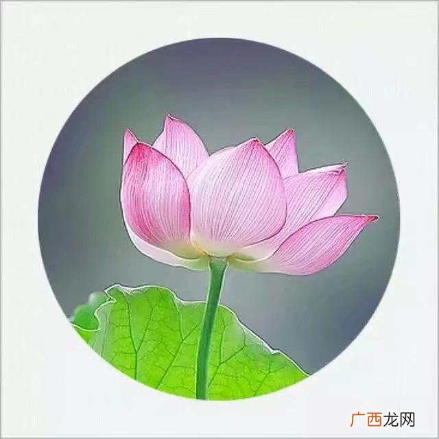 小学即将毕业我想对老师说,小学毕业现在想自学